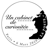 Cachet de Chouette chevêche des terriers naturalisée