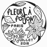 Cachet de Passiflore Cachet de Passiflore