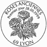 Cachet de Rose Mme Caroline Testout 1890 Cachet de Rose Mme Caroline Testout 1890