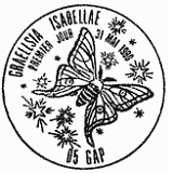 Cachet de Papillon Graellsia Isabellae Cachet de Papillon Graellsia Isabellae