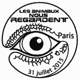 Cachet de Rainette à yeux rouges Cachet de Rainette à yeux rouges