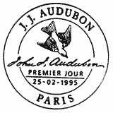 Cachet de Buse pattue - Buteo lagopus Cachet de Buse pattue - Buteo lagopus