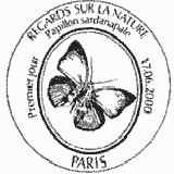 Cachet de Papillon sardanapale Cachet de Papillon sardanapale