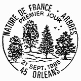 Cachet de Chêne pédonculé - Quercus pedunculata Cachet de Chêne pédonculé - Quercus pedunculata