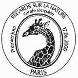 Cachet de Girafe réticulée Cachet de Girafe réticulée