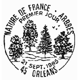 Cachet de Hêtre fayard - Fagus sylvatica Cachet de Hêtre fayard - Fagus sylvatica