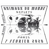 Cachet de Ours polaire Cachet de Ours polaire