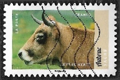 Vache d'Aubrac