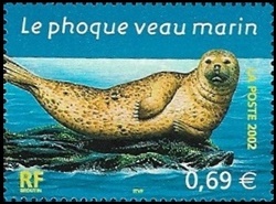 Le phoque veau marin