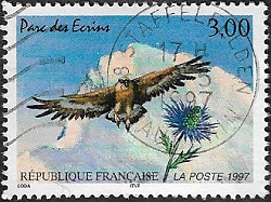 L'aigle royal et le chardon bleu Parc des écrins