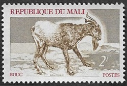 Bouc