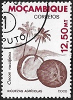 Noix de coco