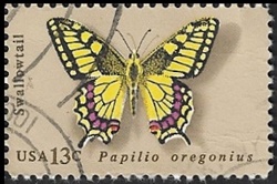 Machaon de l'Oregon