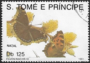 Inachis io Inachis io