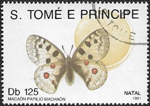 Papilio machaon Papilio machaon