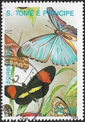 Papillons Papillons