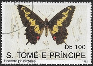 Euryades duponcheli