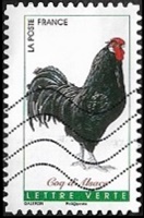 Coq d'Alsace