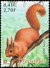 L'écureuil