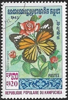 Danaus genutia Danaus genutia