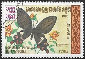 Byasa polyeuctes termessus Byasa polyeuctes termessus
