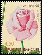 Rose La France 1867