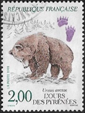 L'ours des Pyrénées - Ursus arctos