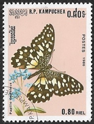 Papilio demoleus Papilio demoleus