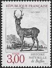 Le cerf