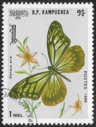 Parantica sita Parantica sita