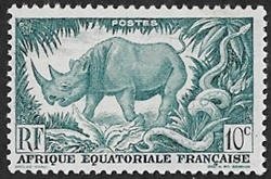 Rhinocéros noir 10c
