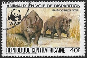 Rhinocéros noir