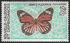 Danaus plexippus