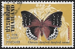 Charaxes durnfordi