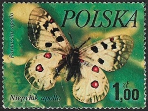 Parnassius apollo