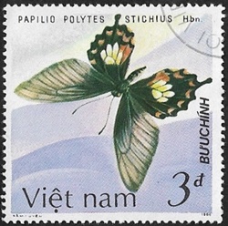 Papilio polytes