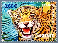 Le jaguar