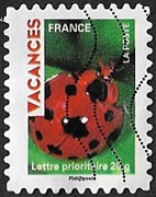 Coccinelle