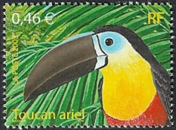 Toucan ariel