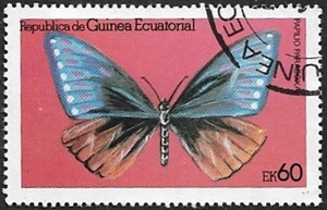 Papilio paradoxa