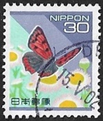 Lycaena phlaeas