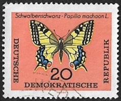 Papilio machaon