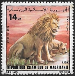 Lion