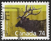Wapiti Wapiti