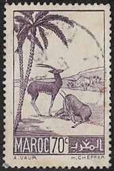 Gazelles 70 Gazelles 70