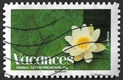 Fleur de lotus