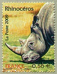 Rhinocéros