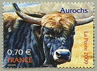 Aurochs