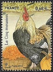 Le coq meusien