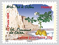 Nord-Pas-de-Calais - La pomme de terre